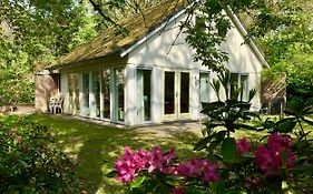 Vakantiewoning Tjiftjaf in Het Fonteinbos